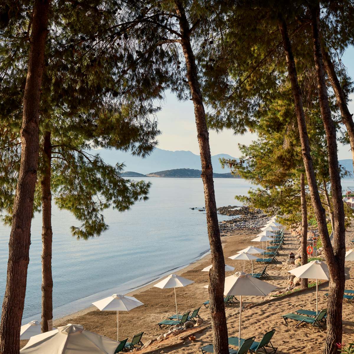 Family Experiences in Crete